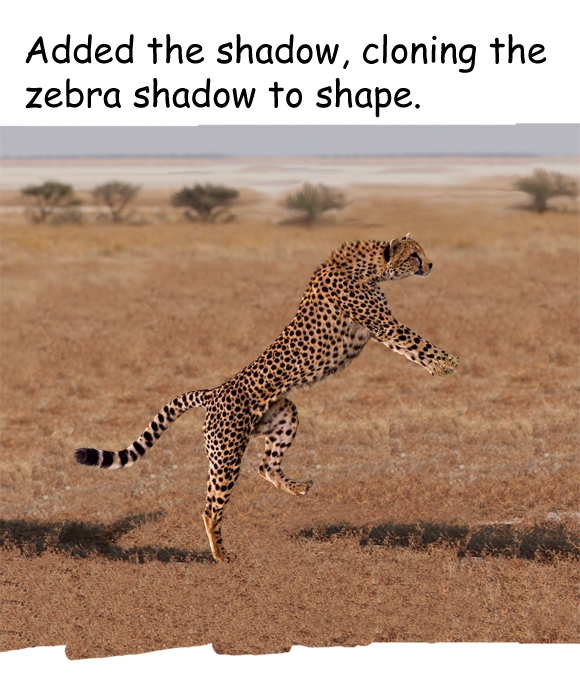 Creation of No Hurry: Step 4